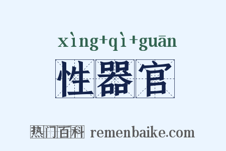 性器官是什么意思的图片